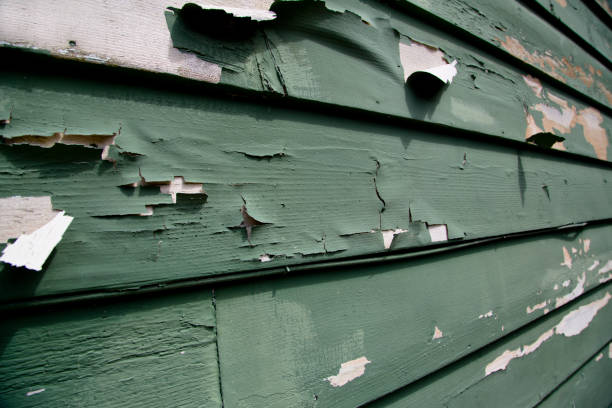 Best Same-Day Junk Removal Services  in Manteo, NC