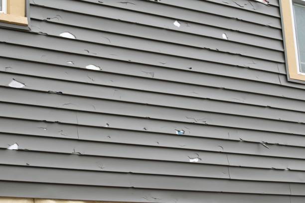 Best Attic Cleanout  in Manteo, NC